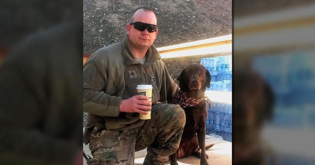 Retired military dogs recognized for their service CBS News