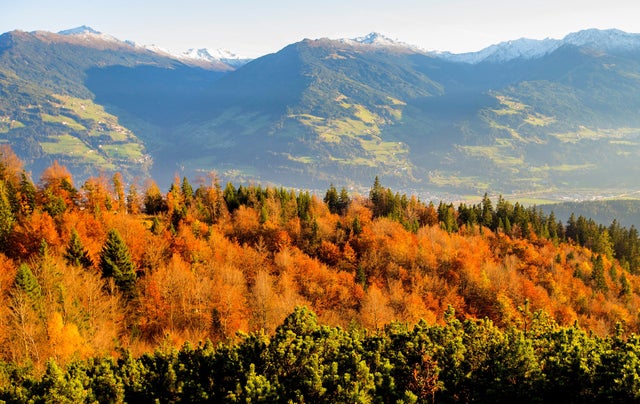 Autumn coloured leaves are pictured in the western Austrian village of Gnadenwald 