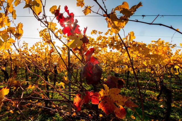 FRANCE-WEATHER-FEATURE 