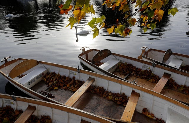 Fallen autumn leaves gather in rowing boats on the River Avon in Stratford-upon-Avon 