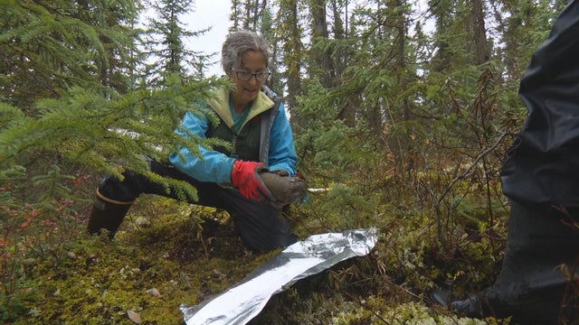 ctm-101917-permafrost-1.jpg 