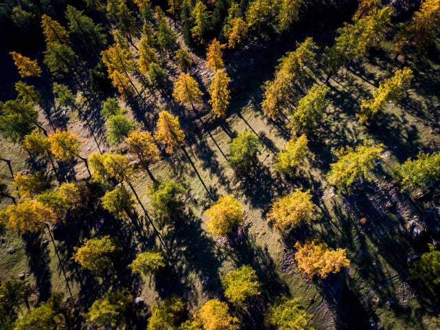 SWITZERLAND-NATURE-AUTUMN-FOREST-WEATHER 