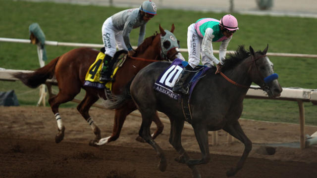 arrogate-breeders-cup-2016.jpg 