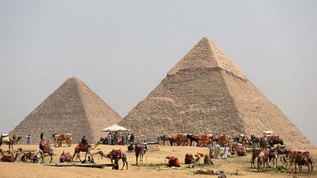 FILE PHOTO: A group of camels and horses stand idle in front of the Great Pyramids awaiting tourists in Giza 