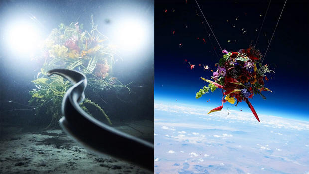 makoto-azuma-sephirothic-flower-diving-into-the-unknown-exobiotanica2-botanical-space-flight-620.jpg 