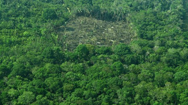 BRAZIL-AMAZON-DEFORESTATION 