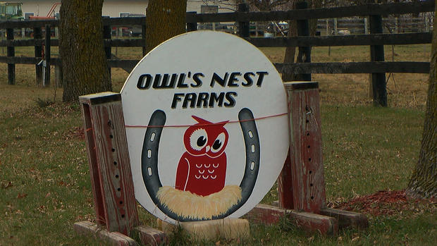 Best Riding Stable Owls Nest Farms 