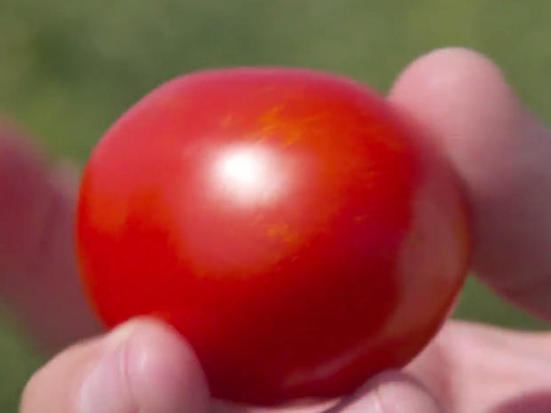 ketchup-heinz-patented-4707-tomato-promo.jpg 