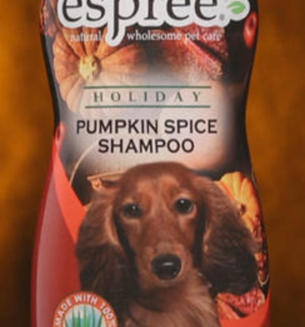 pumpkin-spice-dog-shampoo-244.jpg 