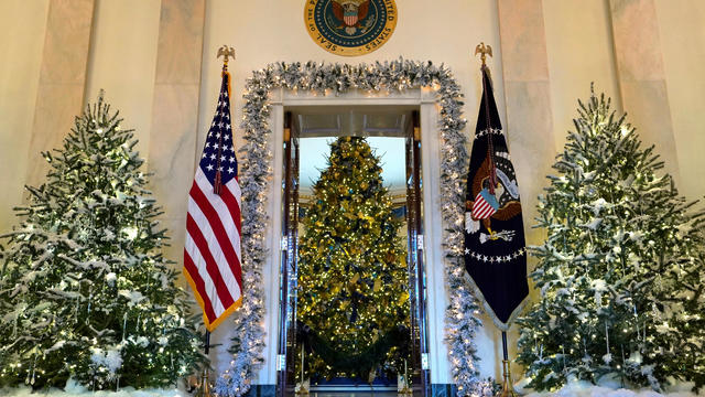 First Lady Melania Trump and her son Barron Trump welcome the official White House Christmas Tree, a Wisconsin-grown tree provided by the Chapman family of Silent Night Evergreens, to the White House in Washington DC 