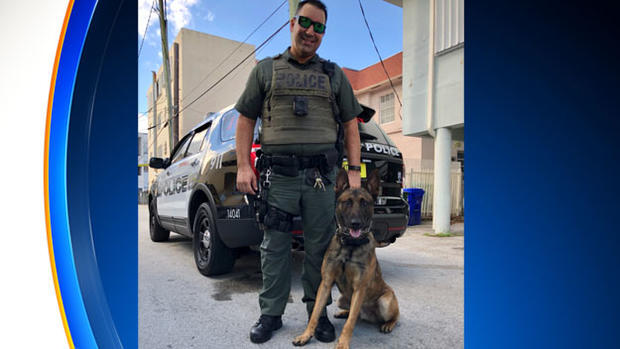 Ares Miami Beach PD Police Dog 