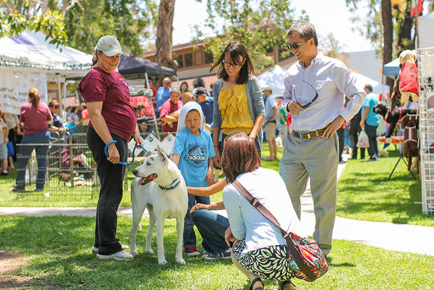 Home for the Holidays Pet Adoption Fair-City of Irvine:Animal Care Center- VERIFIED Ashley 