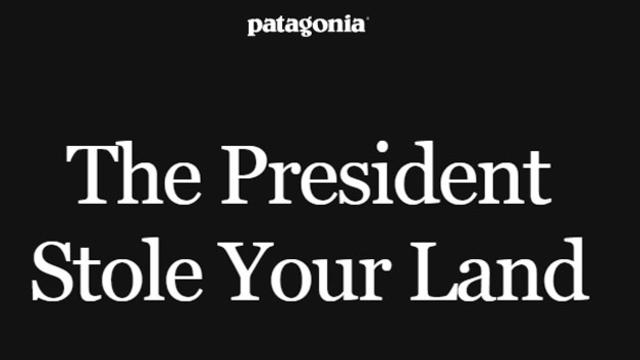Outdoor apparel brand Patagonia to sue the Trump administration