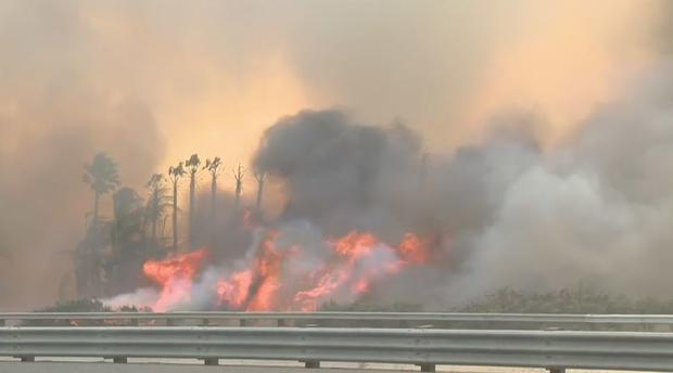 Thomas Fire Jump 101 Freeway In Faria Beach, Engulfs Palm Trees 