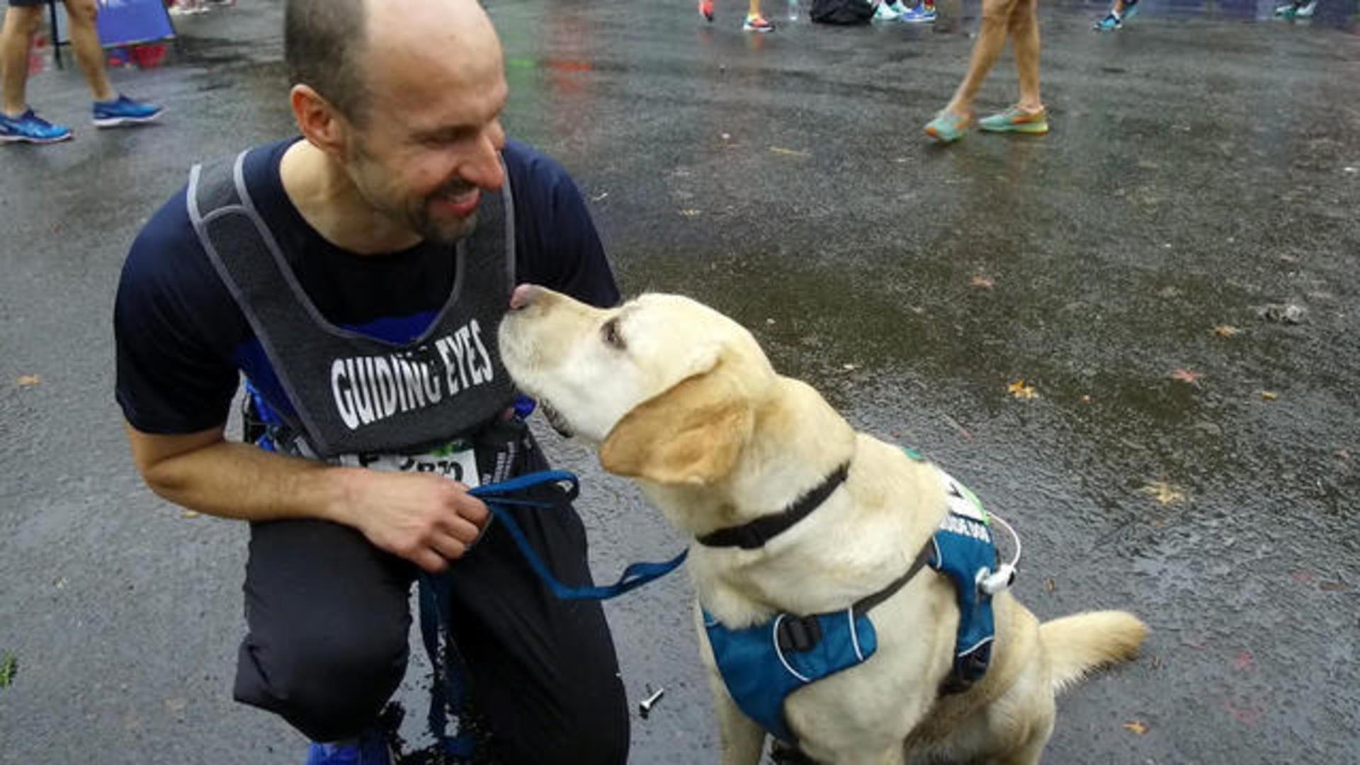 Watch CBS Evening News: Future service dog trains with New York