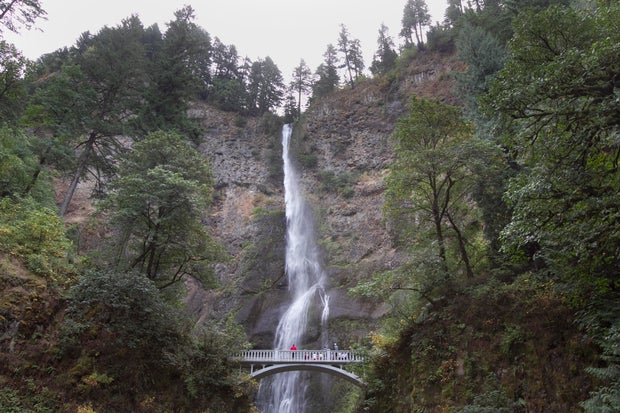 US Forest Service Considers Restricting Photography Within Federally Designated Wilderness Areas 