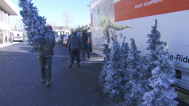 donated-christmas-trees-at-the-annual-christmas-tree-project-giveaway-in-colorado-springs-credit-cbs-news.jpg 