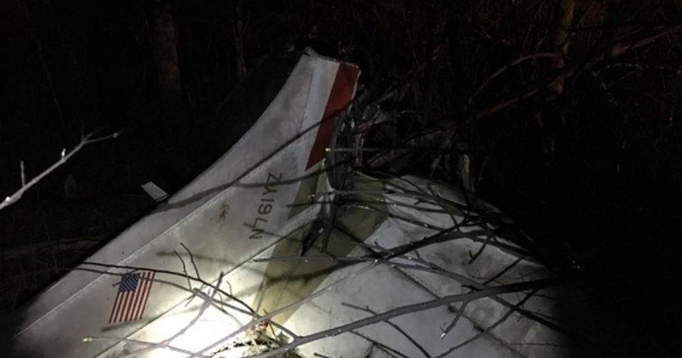 Dog survives plane crash that kills 3 people, other dog - CBS News