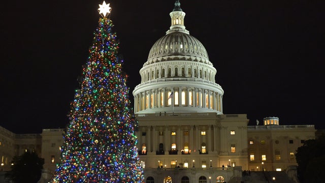 TOPSHOT-US-HOLIDAYS-CAPITOL-CHRISTMAS-TREE-politics 