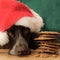 Can I eat Santa's Cookies? 