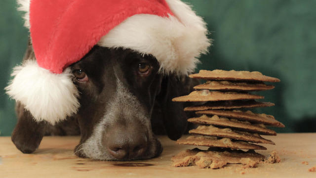 Can I eat Santa's Cookies? 