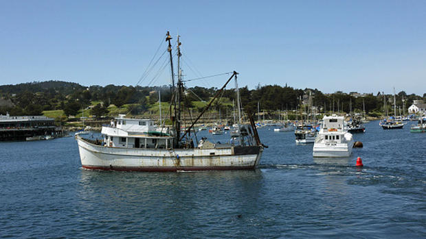 "Gus D" cruises Monterey bay 