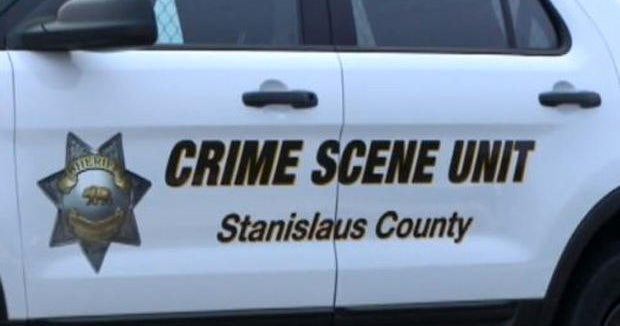 Stray dogs attack, kill woman in Northern California, police say CBS News