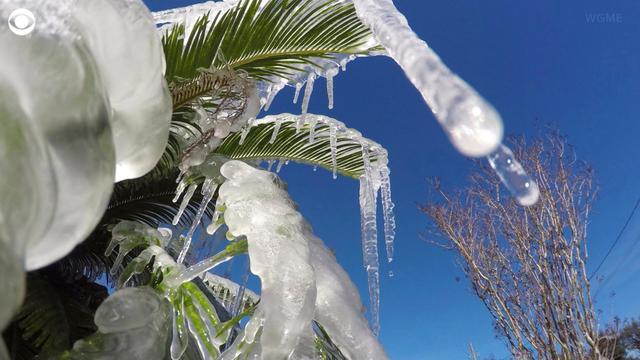 0103-cbsn-florida-1474123-640x360.jpg 