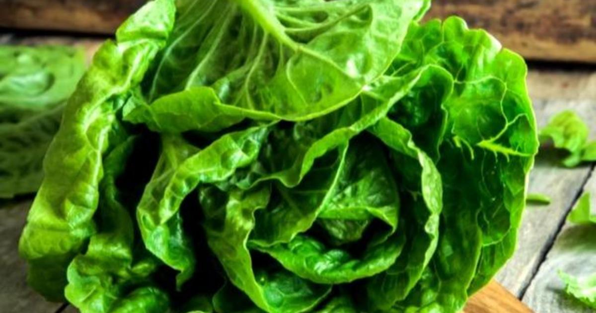 E. coli outbreak triggers warning about romaine lettuce CBS News