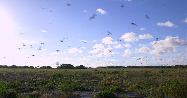 Island-hopping: Wake Atoll
