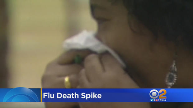 Flu Deaths 