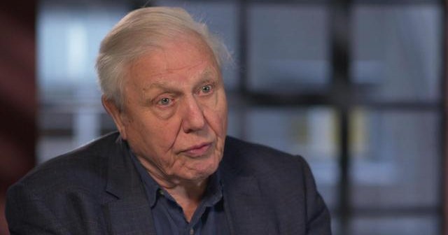 Sir David Attenborough on nature films vs. zoos