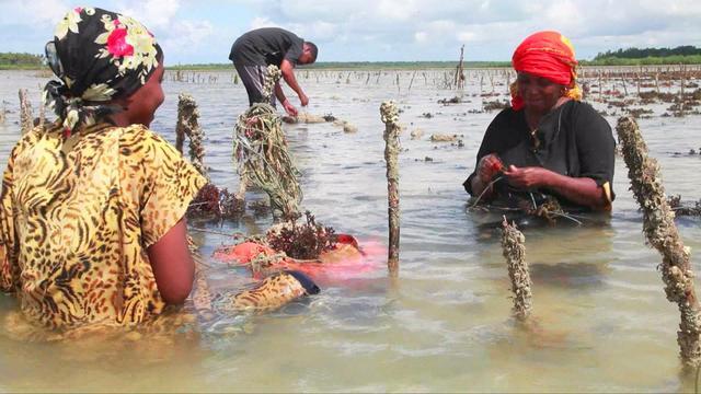 0125-cbsn-climatechange-1488955-640x360.jpg 
