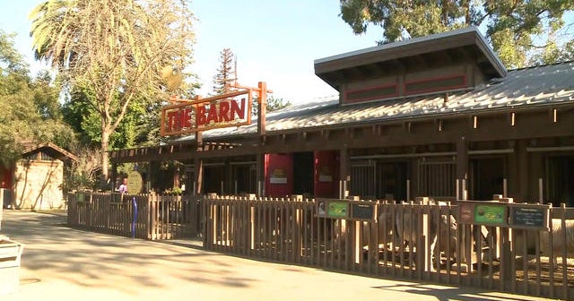 Miniature horses, donkey mauled to death by dogs at children's zoo ...