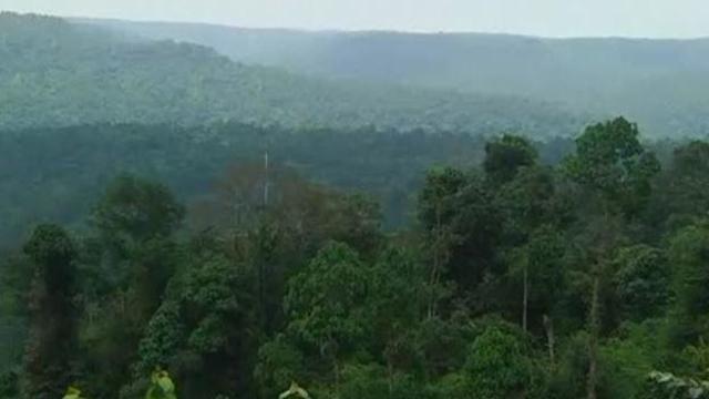 cambodia-forest-logging.jpg 