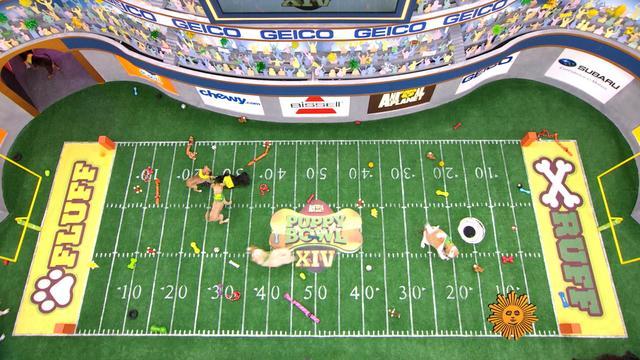 0201-sunomo-puppybowl-1493711-640x360.jpg 