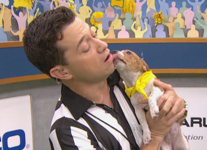 Puppy Bowl 2018: Behind the scenes with Mr. Wigglesworth and the rest ...