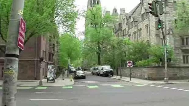 yale.jpg 