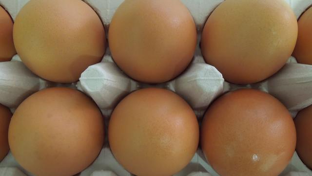 eggs-001-e1328278098467.jpg 