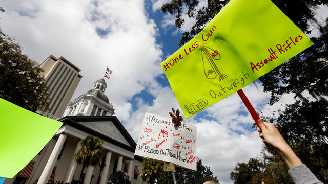 Protestors rally outside the Capitol urging Florida lawmakers to reform gun laws, in Tallahassee 
