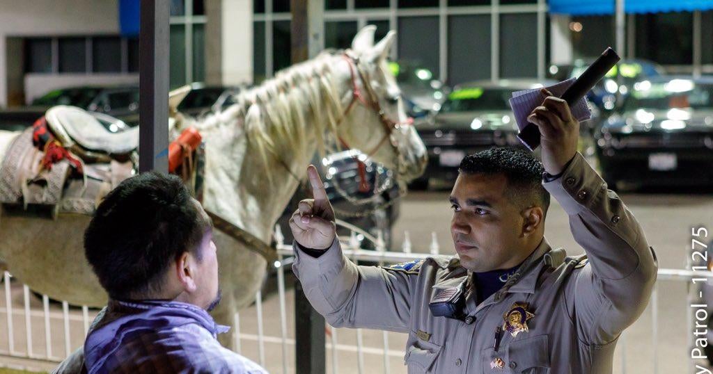 Man accused of riding horse on California freeway arrested for DUI ...