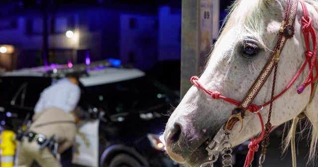 Drunk man arrested after riding horse on California freeway - CBS News