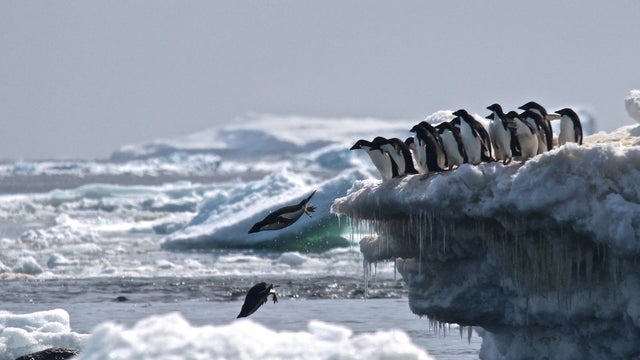 danger-islands-expedition-image-8.jpg 