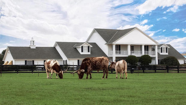 Southfork Ranch 1 