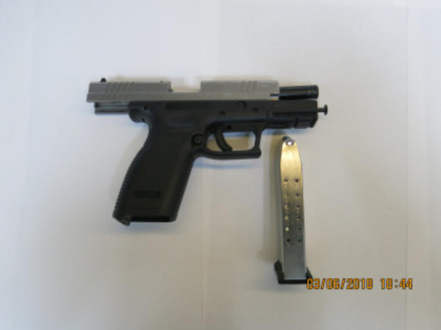 Alleged Gun Of Javier Llanas 