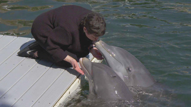 martha-teichner-kissing-a-dolphin-620.jpg 