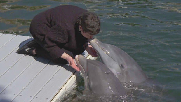 martha-teichner-kissing-a-dolphin-620.jpg 