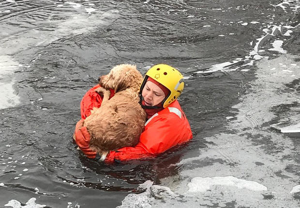 Bloomington Fire Department Rescues Dog From Thin Ice 