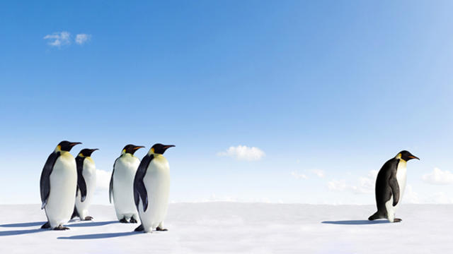 penguins-no.jpg 