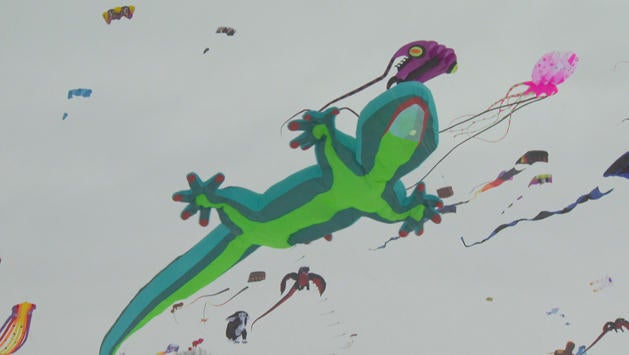 Go fly a kite, at the Color the Wind Kite Festival in ‪‪Clear Lake, Iowa CBS News